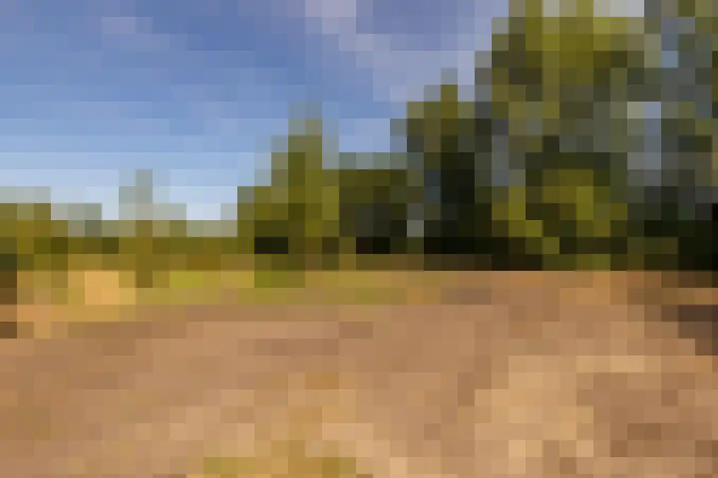 Fort 5 Veeningen thumbnail 86