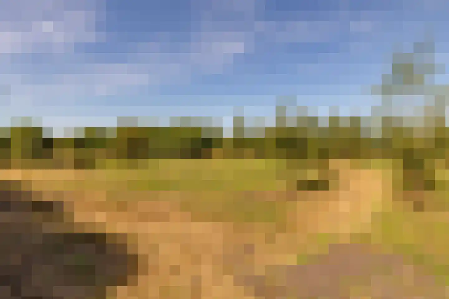 Fort 5 Veeningen thumbnail 87