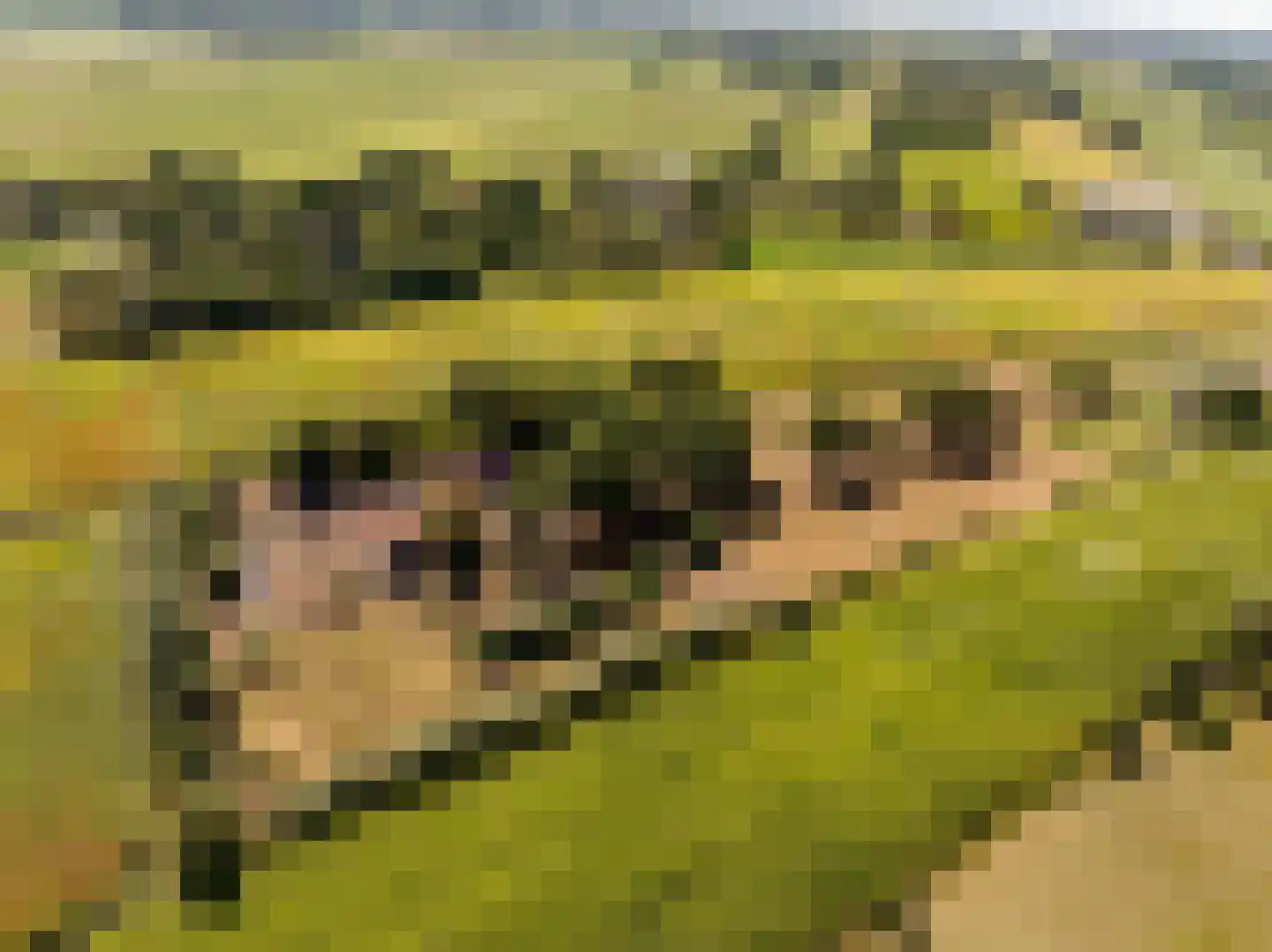 Fort 5 Veeningen thumbnail 88