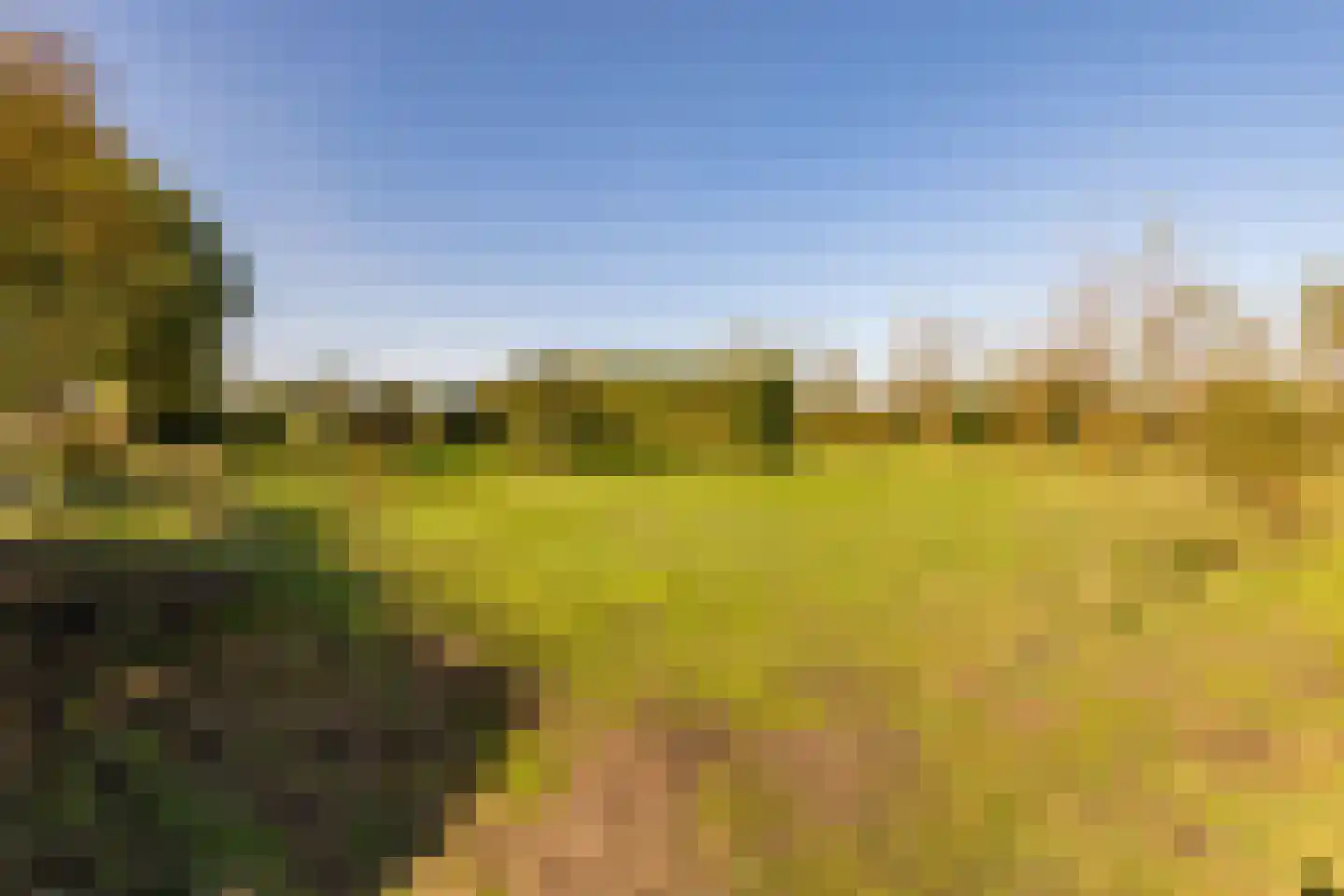 Fort 5 Veeningen thumbnail 88