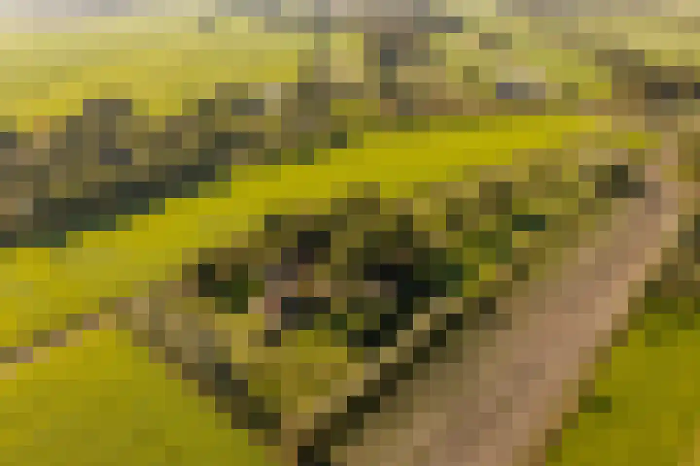 Fort 5 Veeningen thumbnail 89