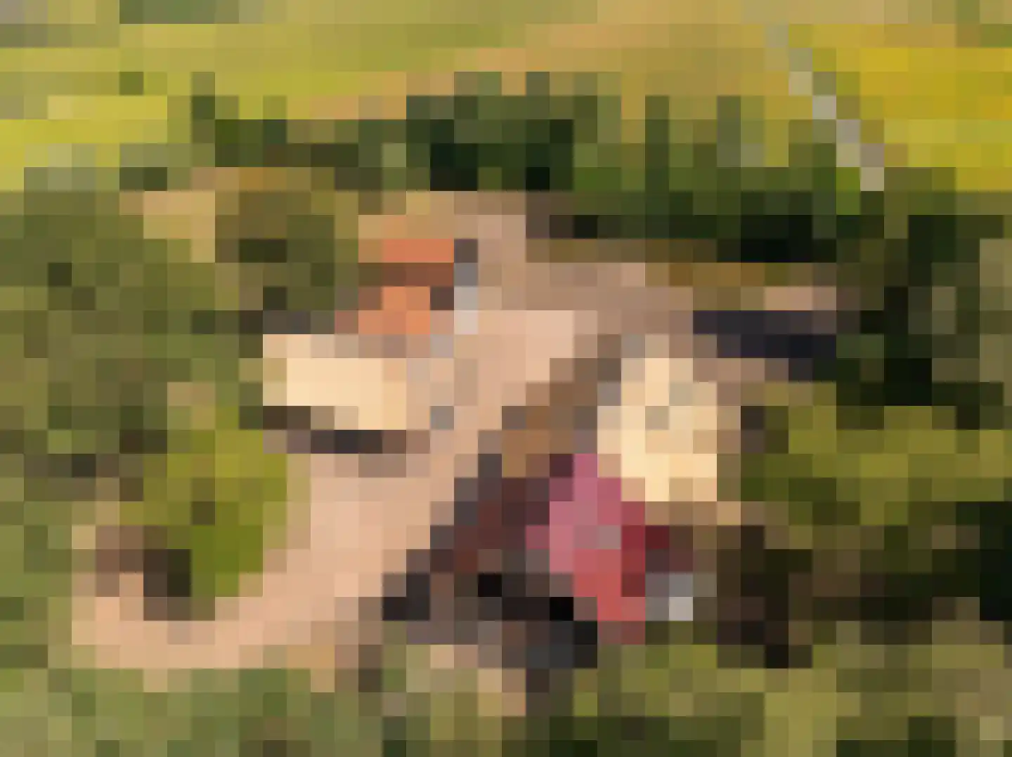 Fort 5 Veeningen thumbnail 89