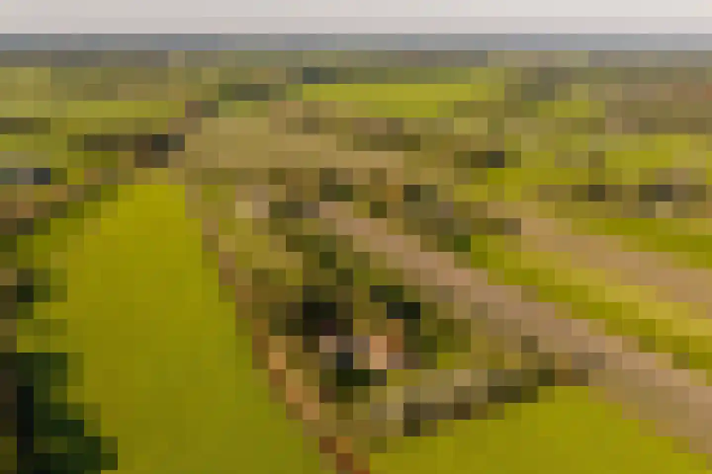Fort 5 Veeningen thumbnail 9