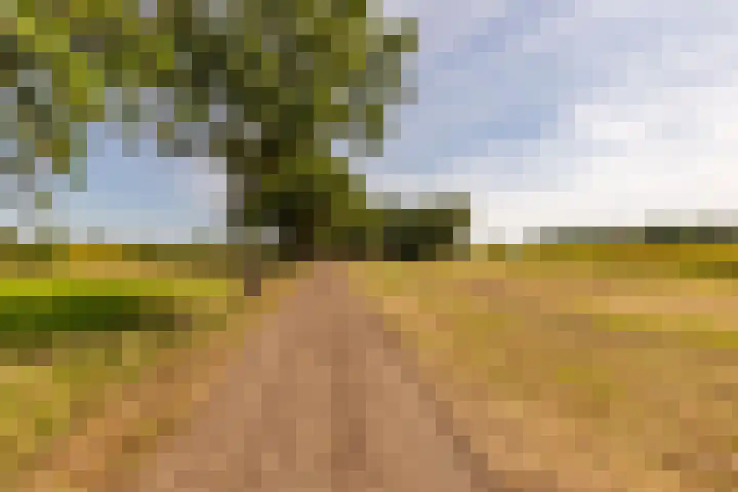 Fort 5 Veeningen thumbnail 9