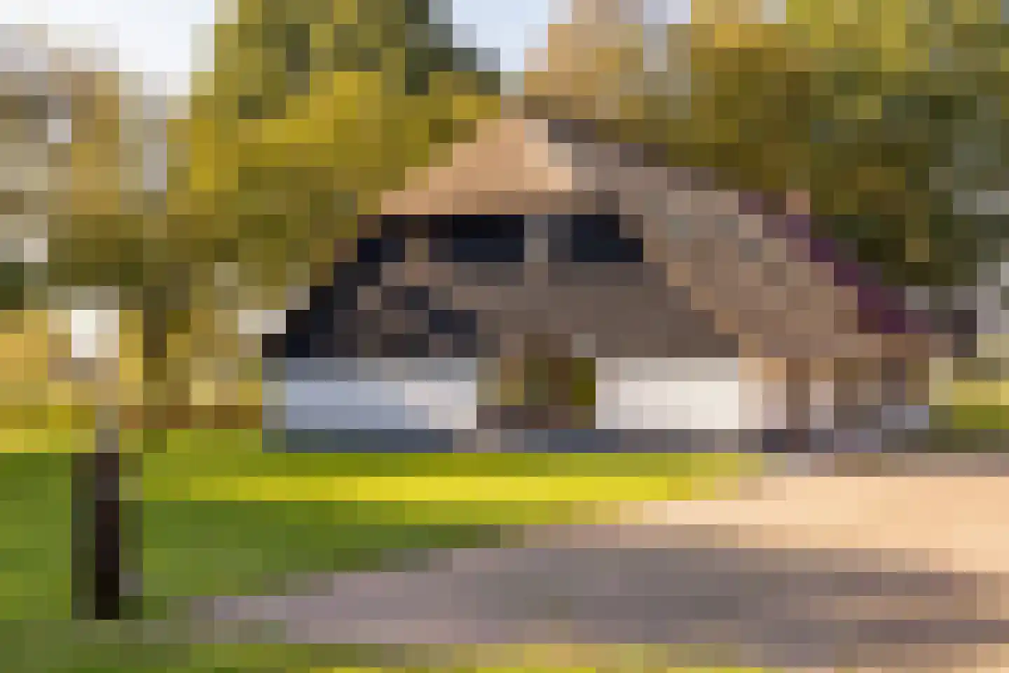 Fort 5 Veeningen thumbnail 92