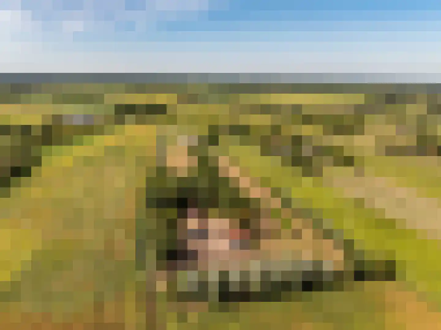 Fort 5 Veeningen thumbnail 92