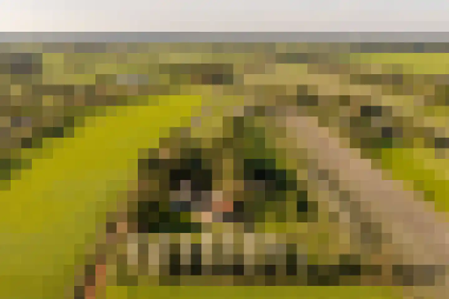 Fort 5 Veeningen thumbnail 94