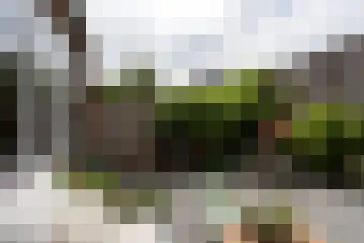 Fort 8 Berkel en Rodenrijs thumbnail 42