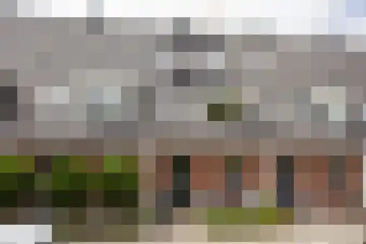 Fort 8 Berkel en Rodenrijs thumbnail 5