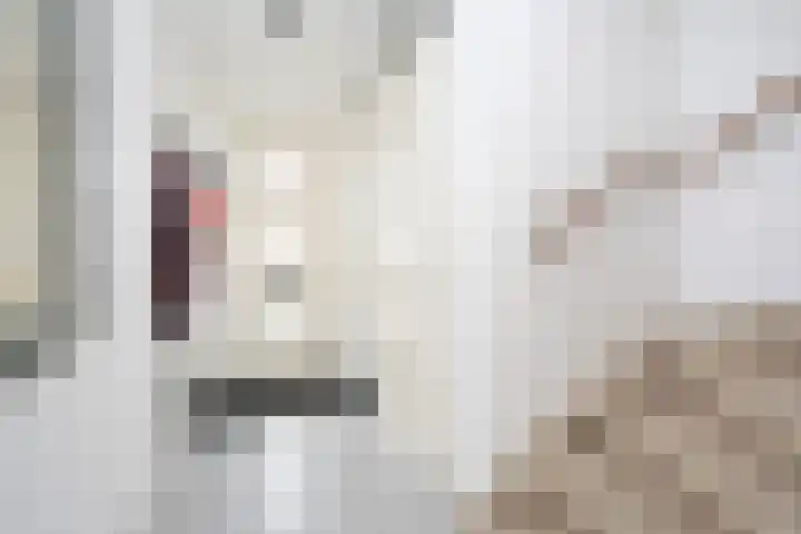Fort 8 Berkel en Rodenrijs thumbnail 8