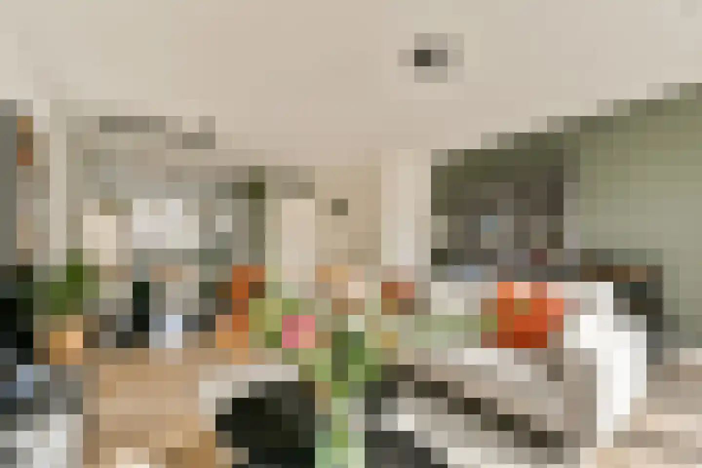 Fort Aalsmeerstraat 6 Weesp thumbnail 6