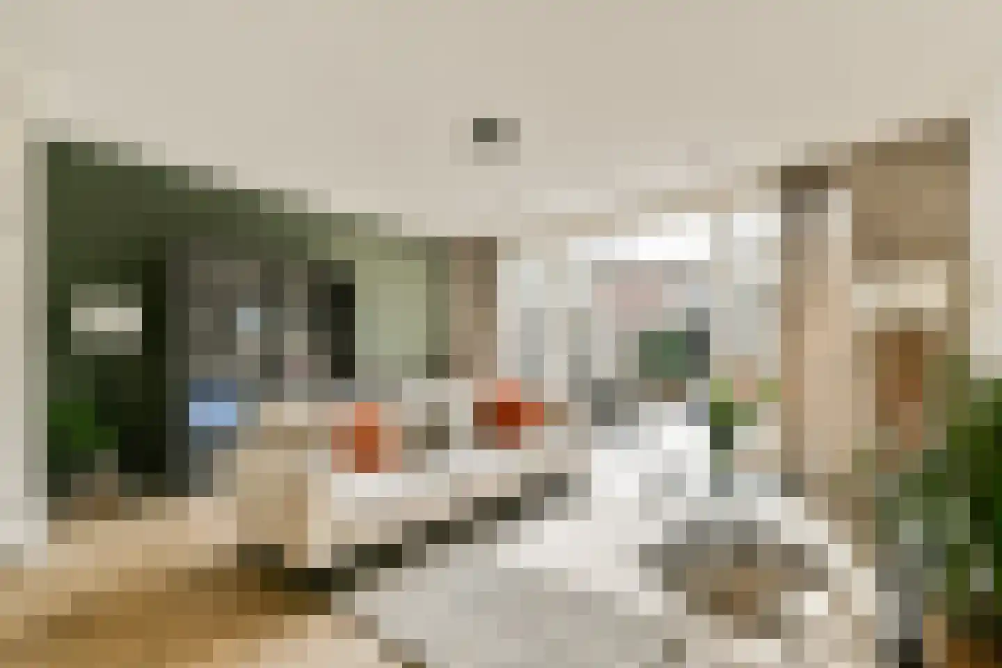Fort Aalsmeerstraat 6 Weesp thumbnail 7