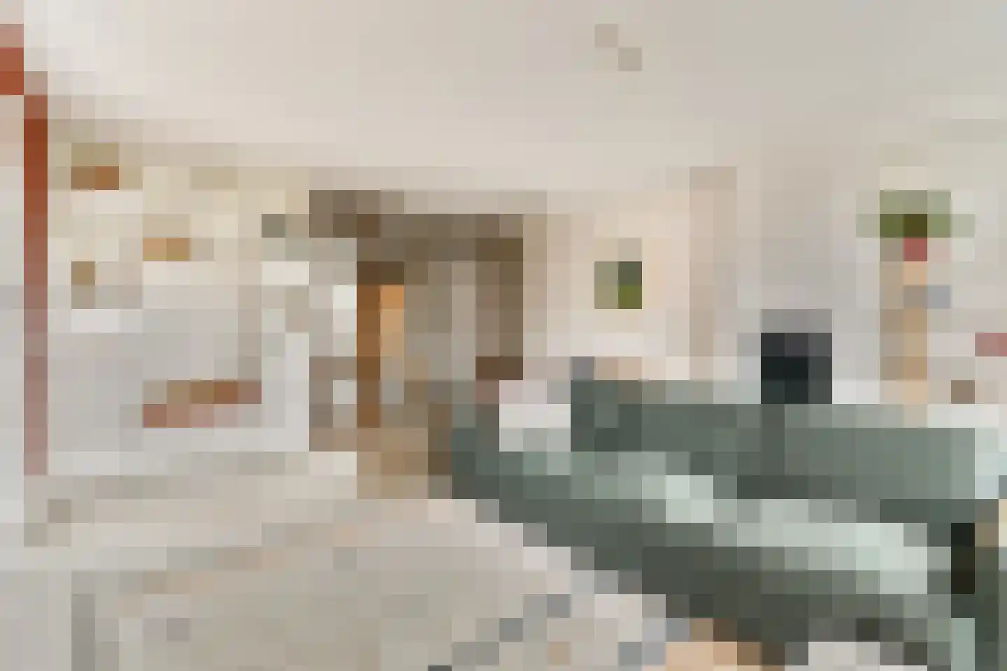 Fort Abcoudestraat 105 Weesp thumbnail 10