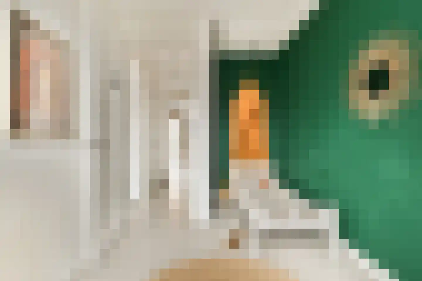 Fort Abcoudestraat 105 Weesp thumbnail 25