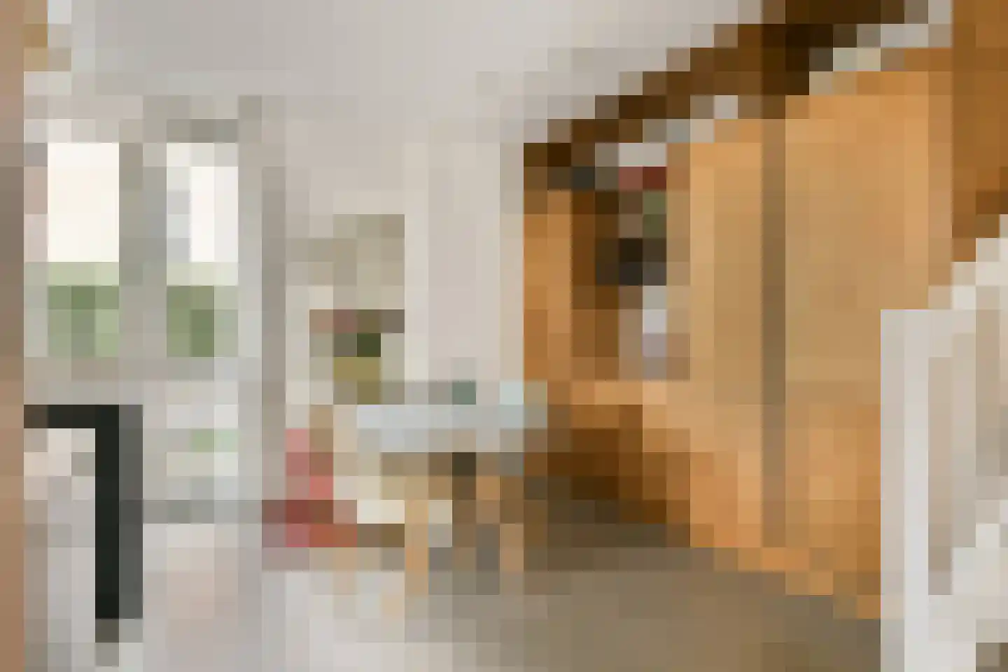 Fort Abcoudestraat 105 Weesp thumbnail 7