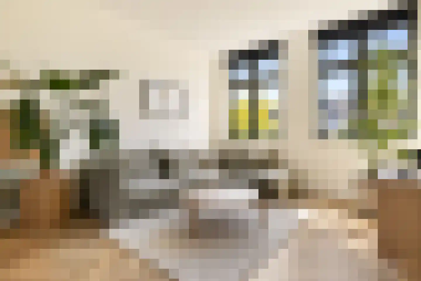 Fort Abcoudestraat 40 Weesp thumbnail 5