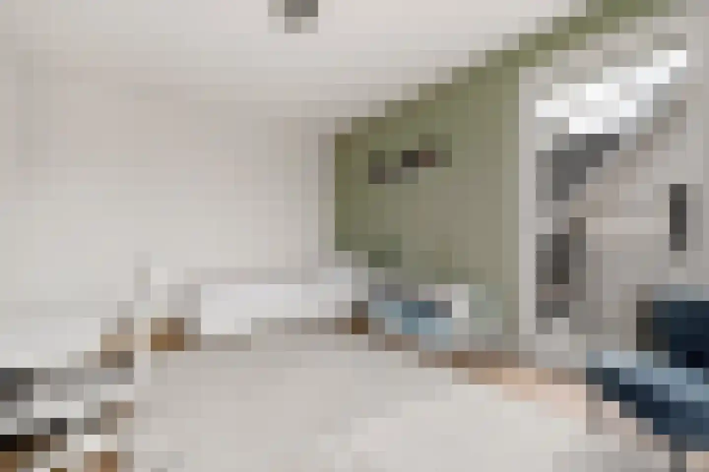Fort Abcoudestraat 42 Weesp thumbnail 30