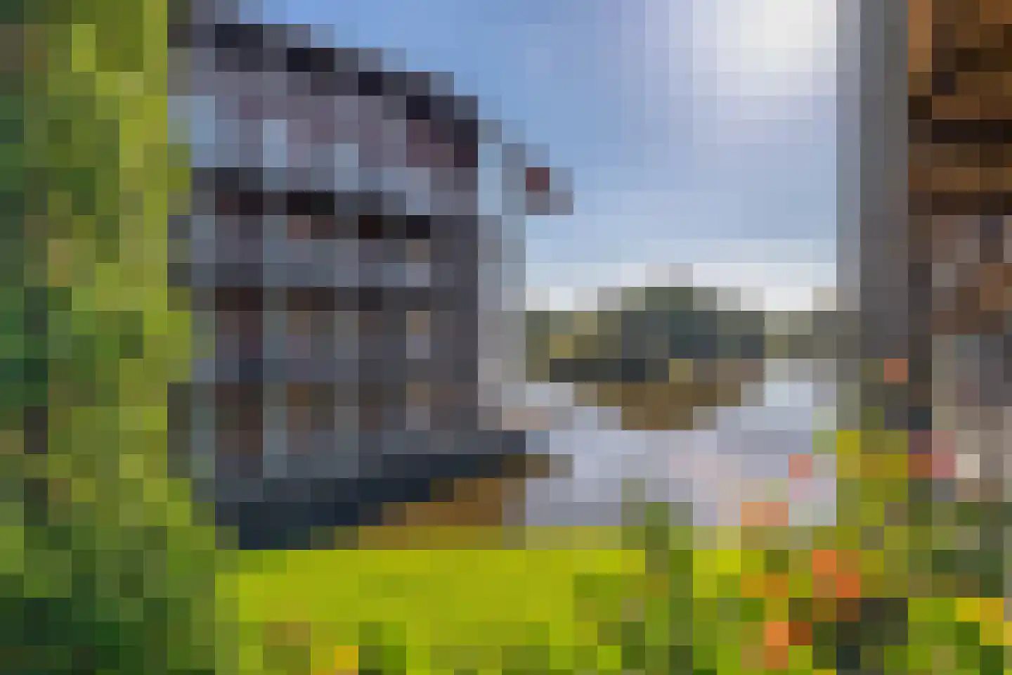 Fort Asperen 11 Krimpen aan den IJssel thumbnail 23