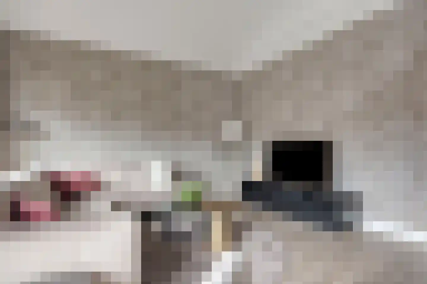 Fort Asperen 26 Krimpen aan den IJssel thumbnail 11