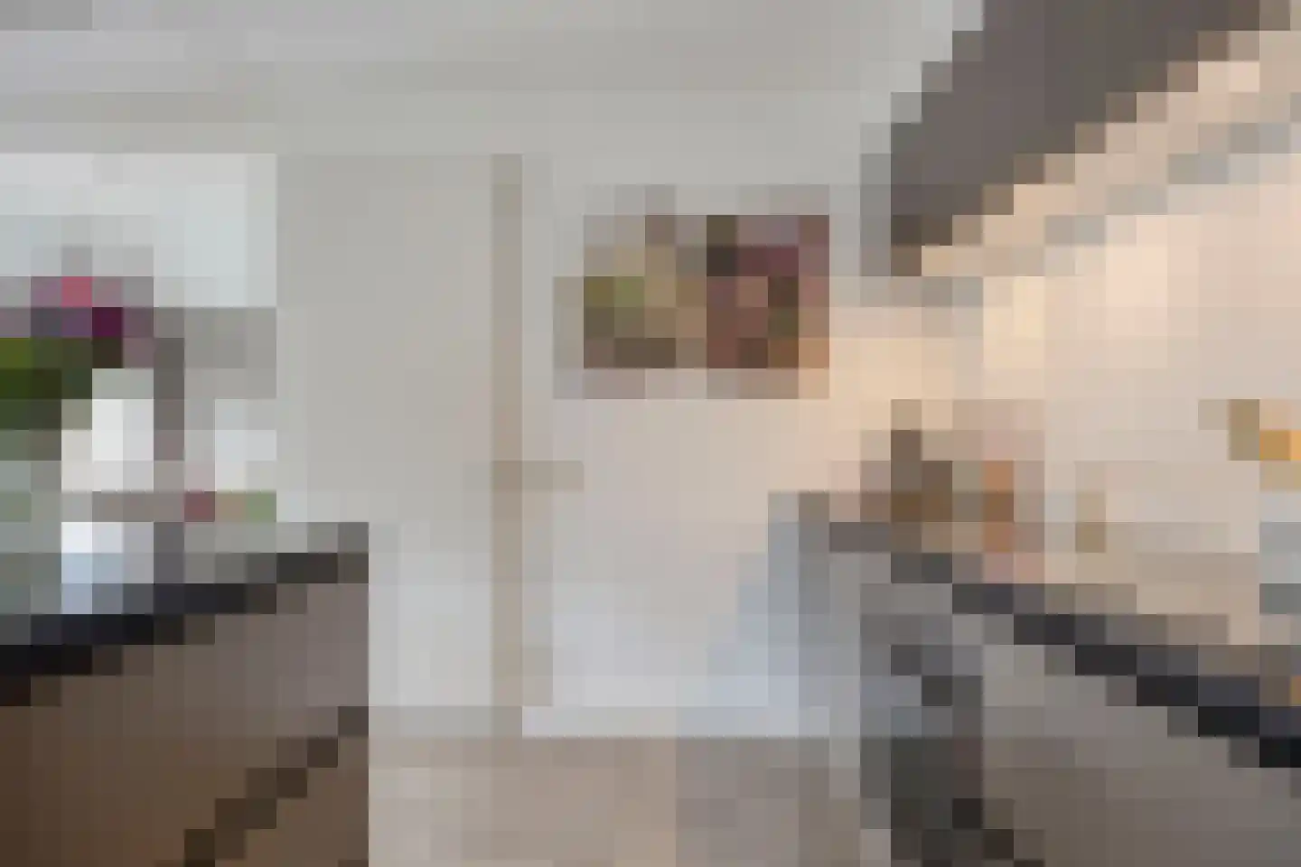 Fort Asperen 26 Krimpen aan den IJssel thumbnail 17