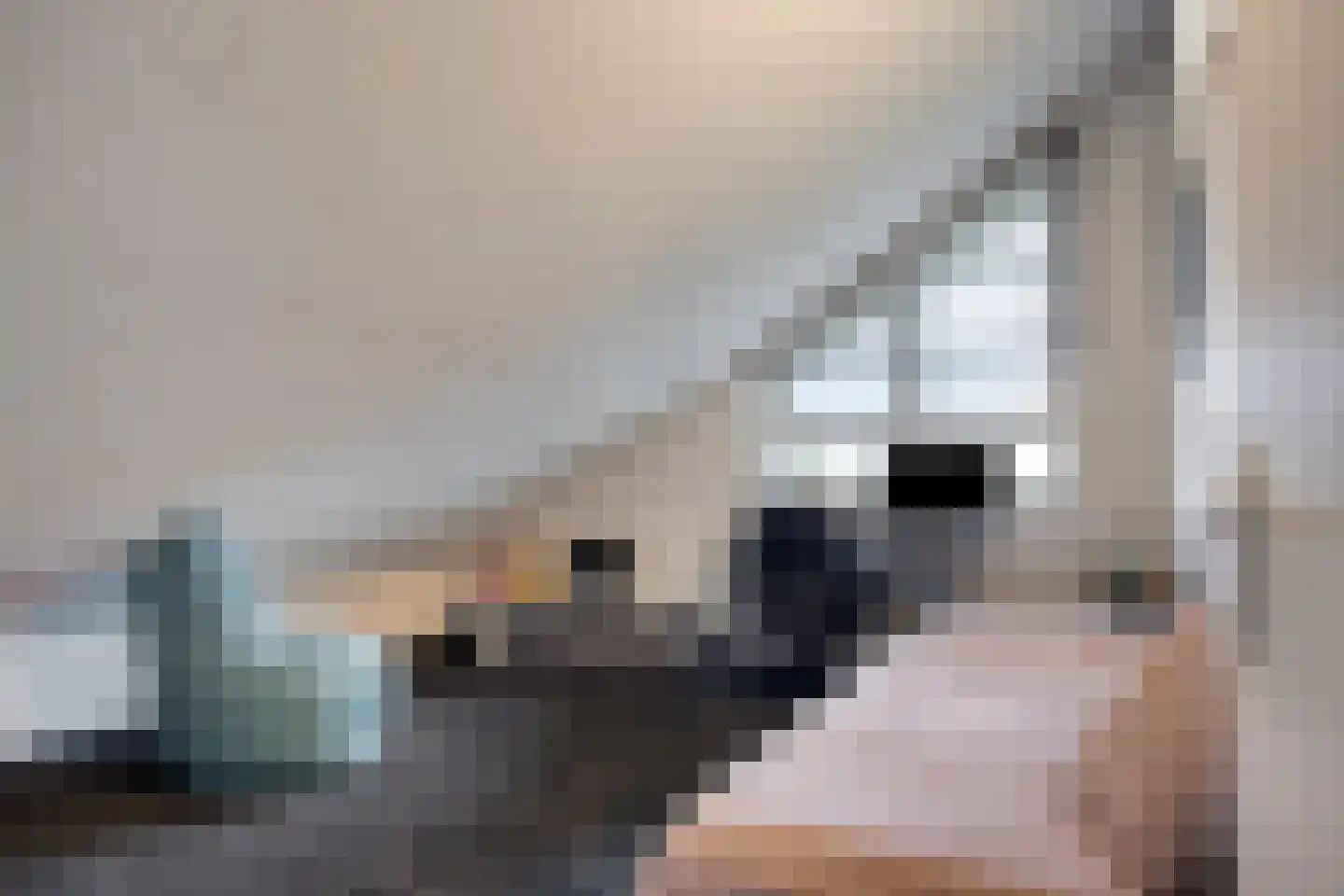 Fort Asperen 26 Krimpen aan den IJssel thumbnail 34