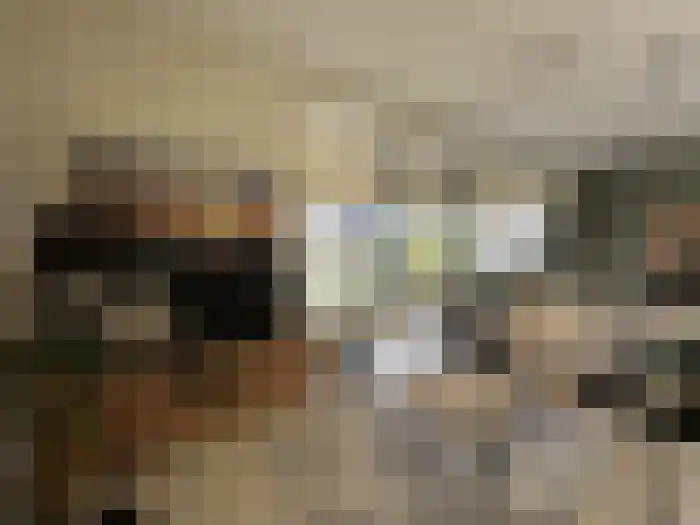 Fort Asperen 32 Krimpen aan den IJssel thumbnail 12