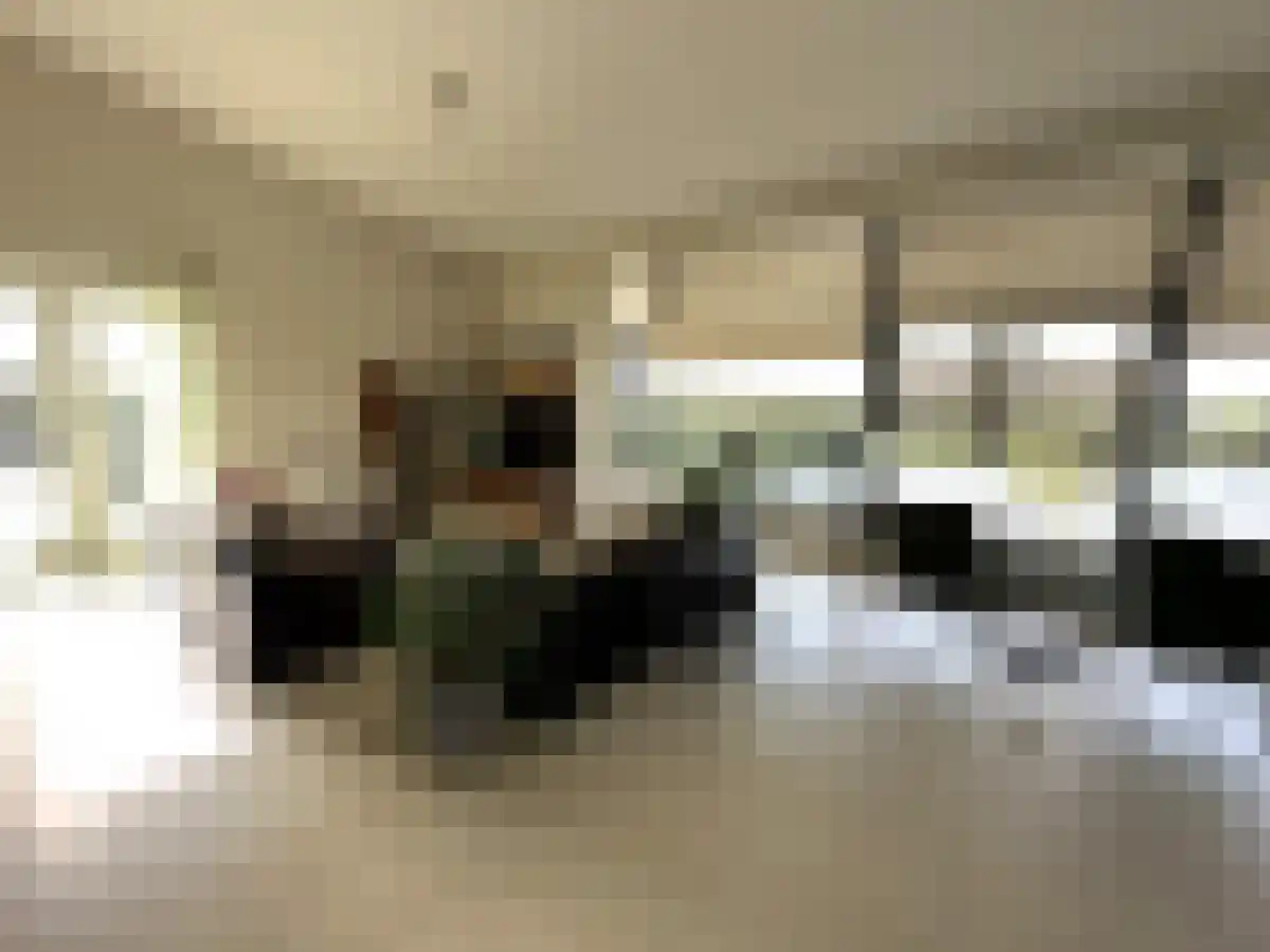 Fort Asperen 32 Krimpen aan den IJssel thumbnail 5