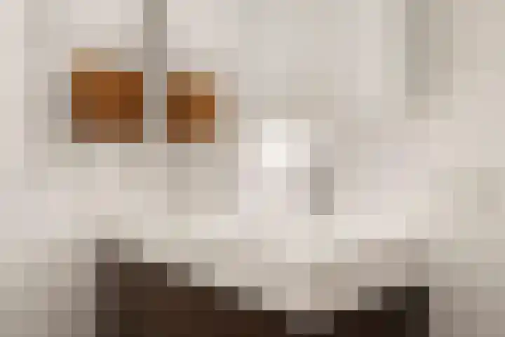 Fort Blauwkapelstraat 3 Weesp thumbnail 25