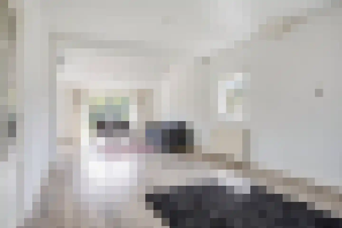 Fort den Haakweg 14 Vrouwenpolder thumbnail 10