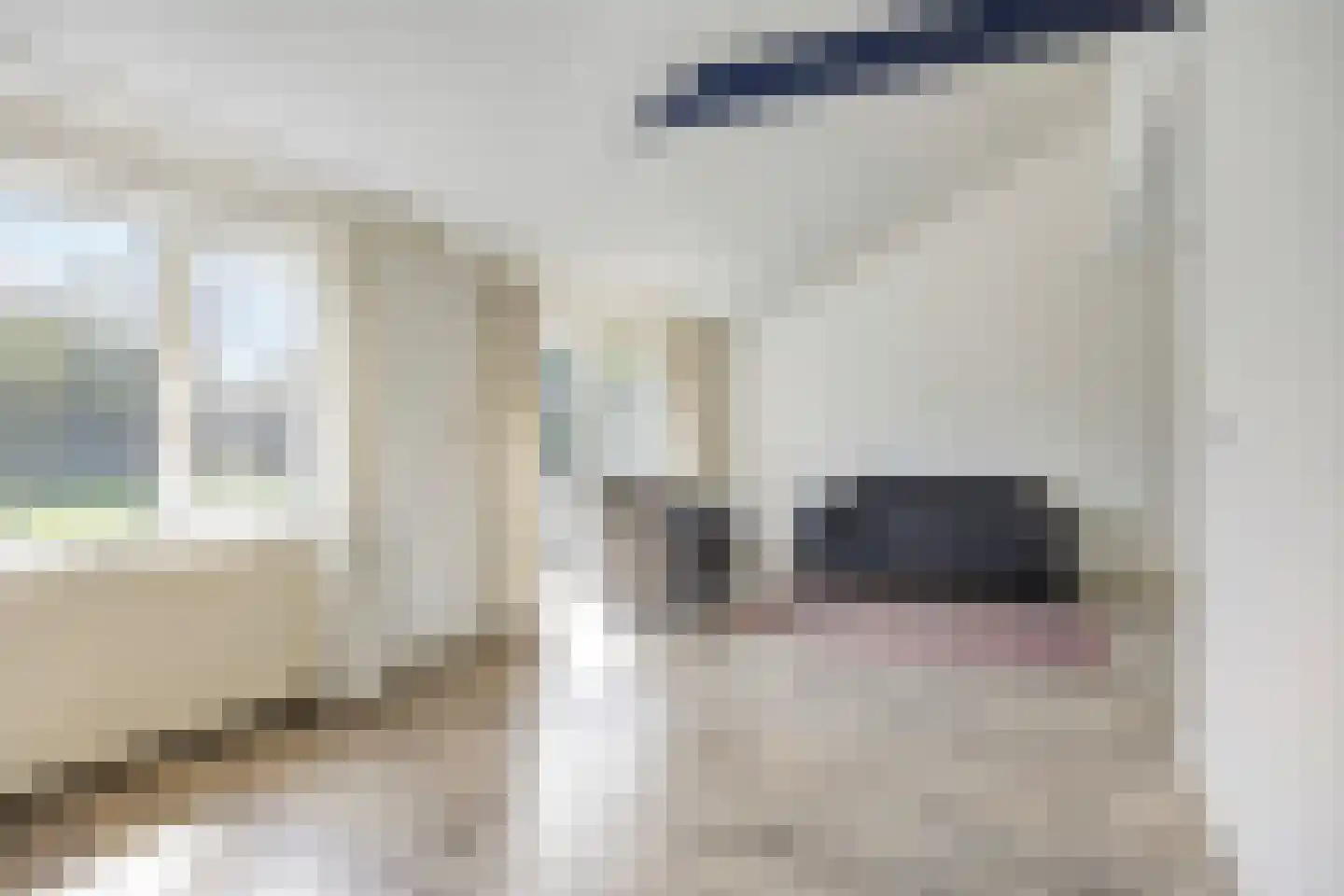 Fort den Haakweg 14 Vrouwenpolder thumbnail 11
