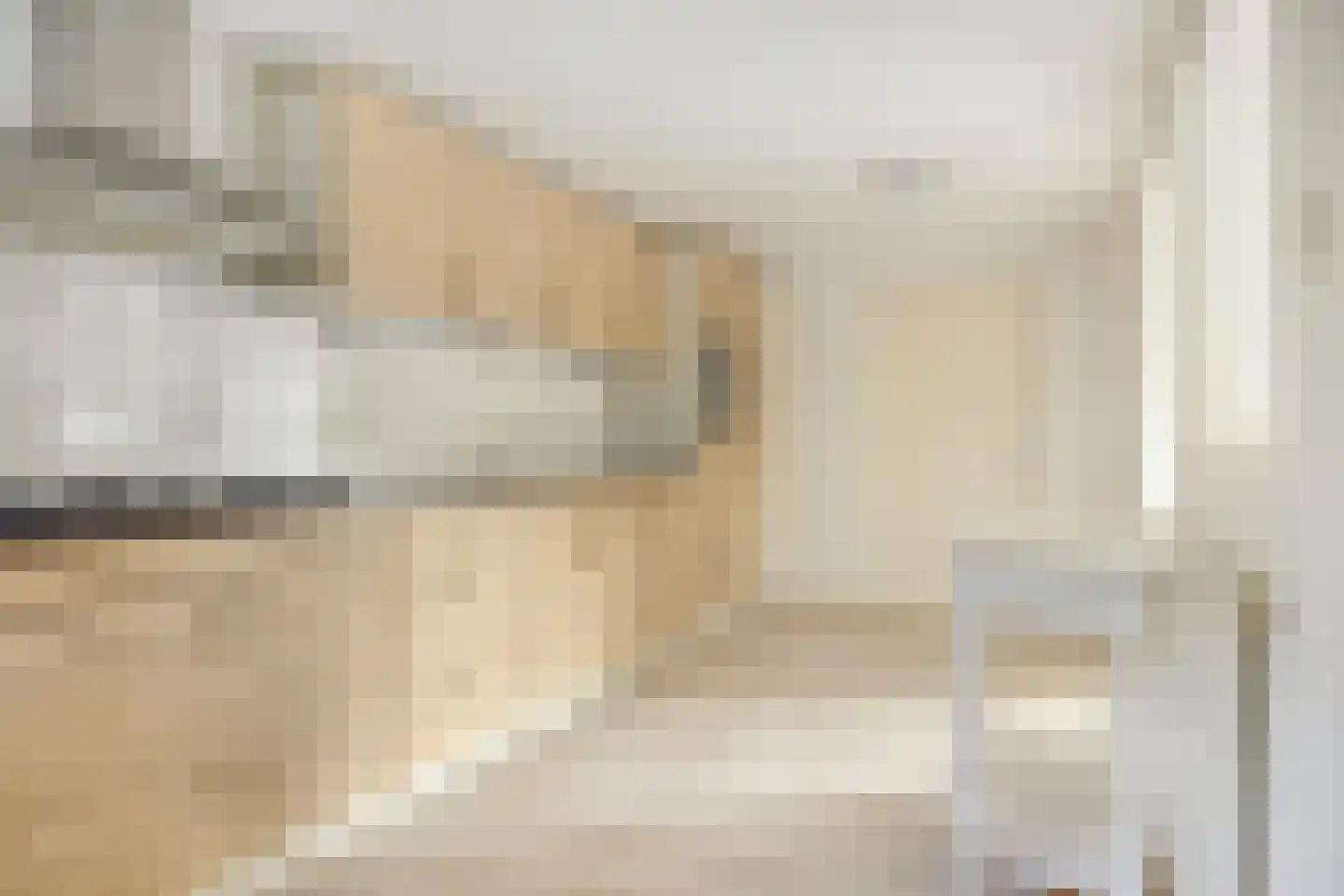 Fort den Haakweg 14 Vrouwenpolder thumbnail 13