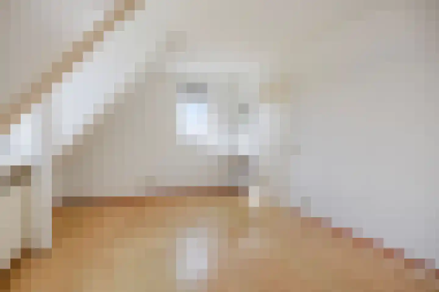Fort den Haakweg 14 Vrouwenpolder thumbnail 28