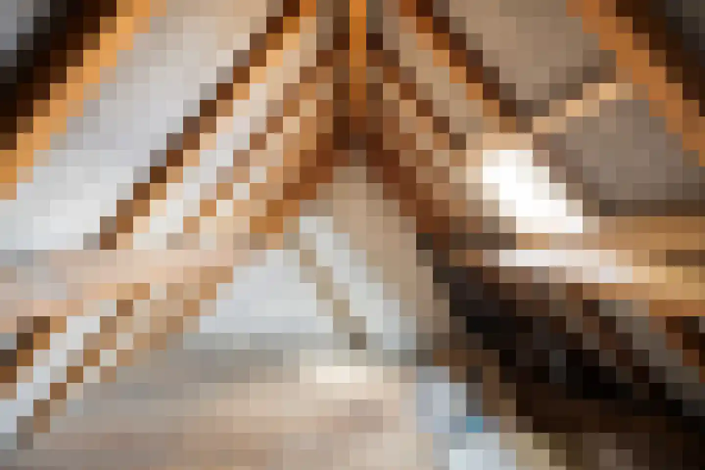 Fort den Haakweg 14 Vrouwenpolder thumbnail 31