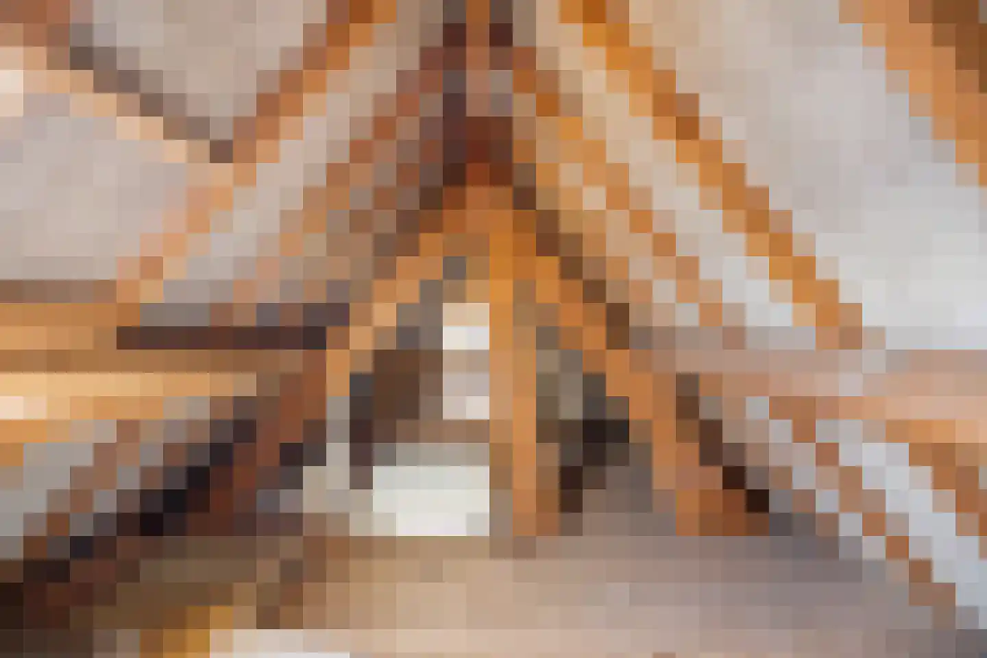 Fort den Haakweg 14 Vrouwenpolder thumbnail 32