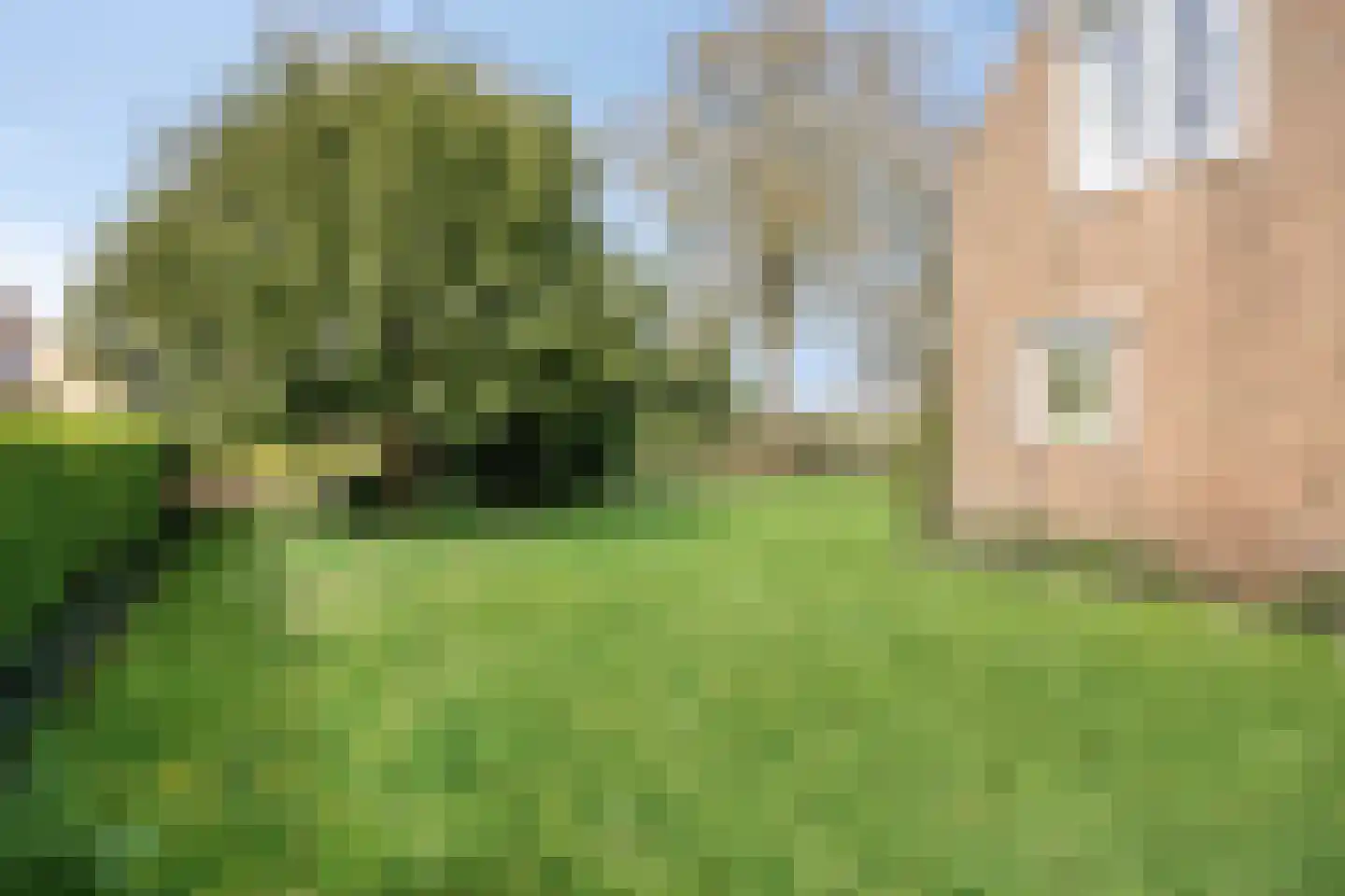 Fort den Haakweg 14 Vrouwenpolder thumbnail 40