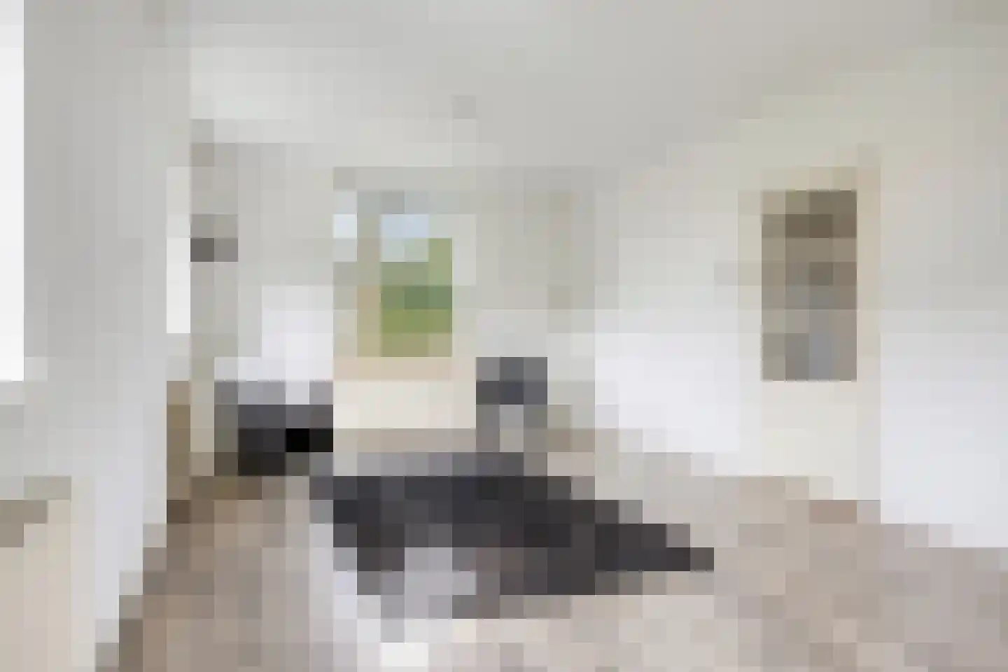 Fort den Haakweg 14 Vrouwenpolder thumbnail 9