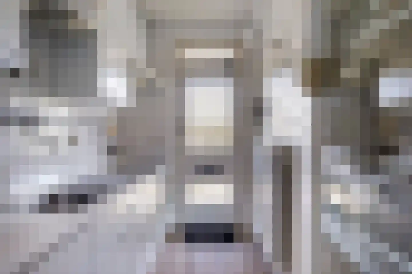 Fort den Haakweg 9 D Vrouwenpolder thumbnail 10