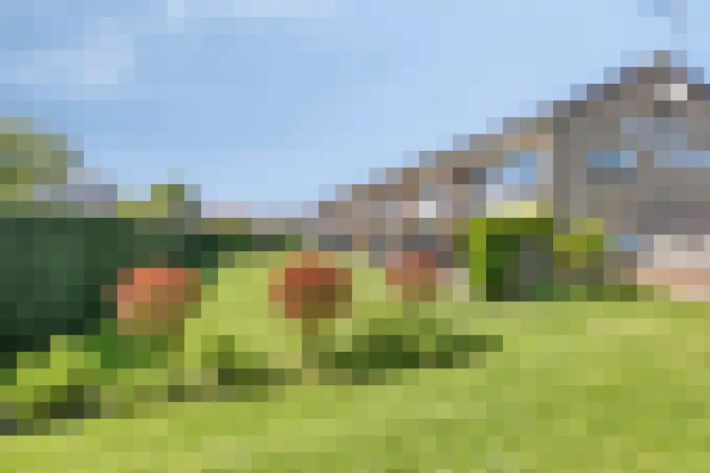 Fort den Haakweg 9 D Vrouwenpolder thumbnail 19