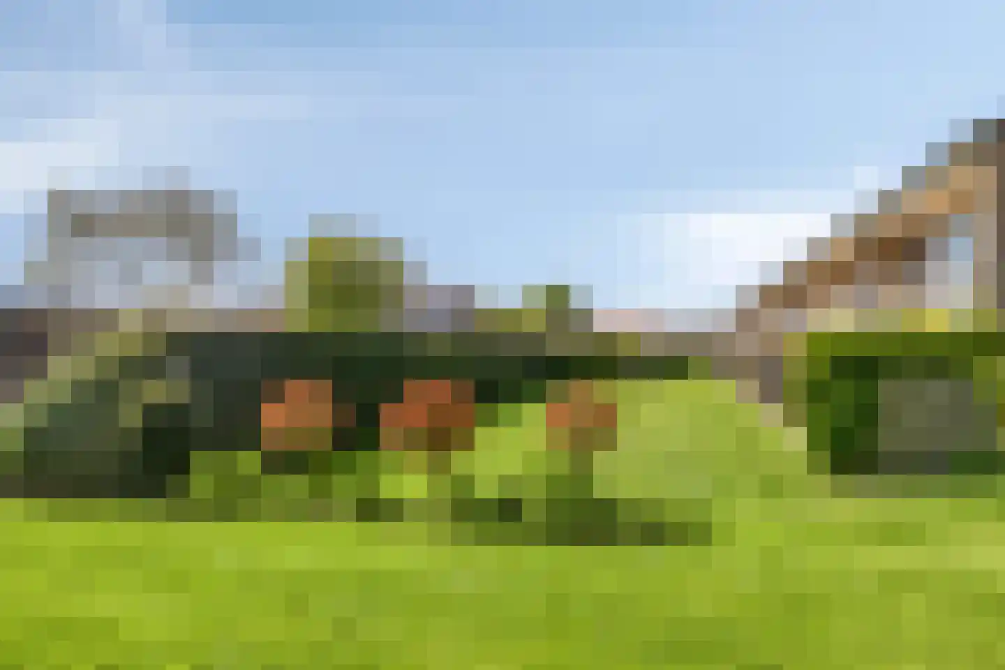 Fort den Haakweg 9 D Vrouwenpolder thumbnail 20