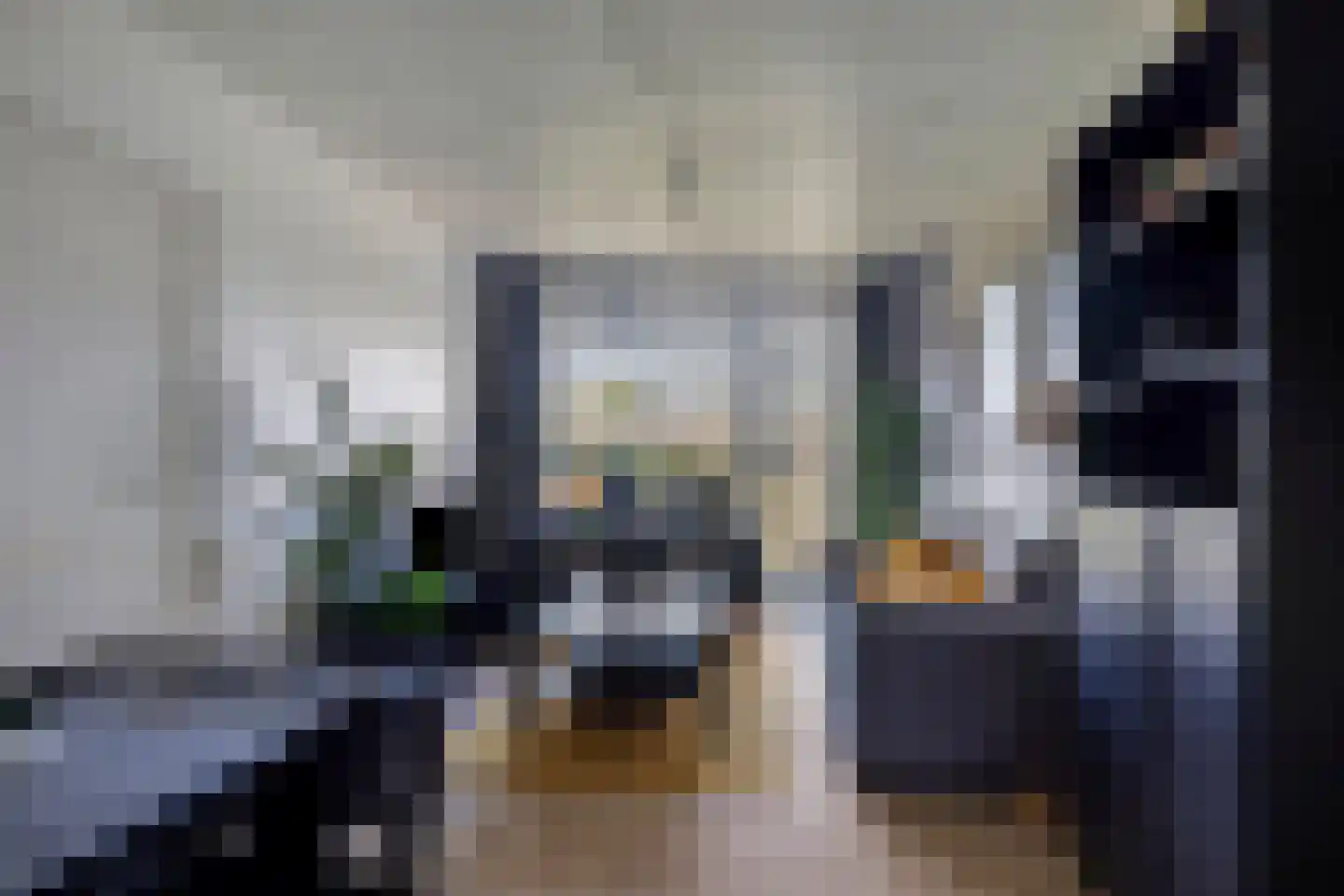 Fort den Haakweg 9 D Vrouwenpolder thumbnail 6