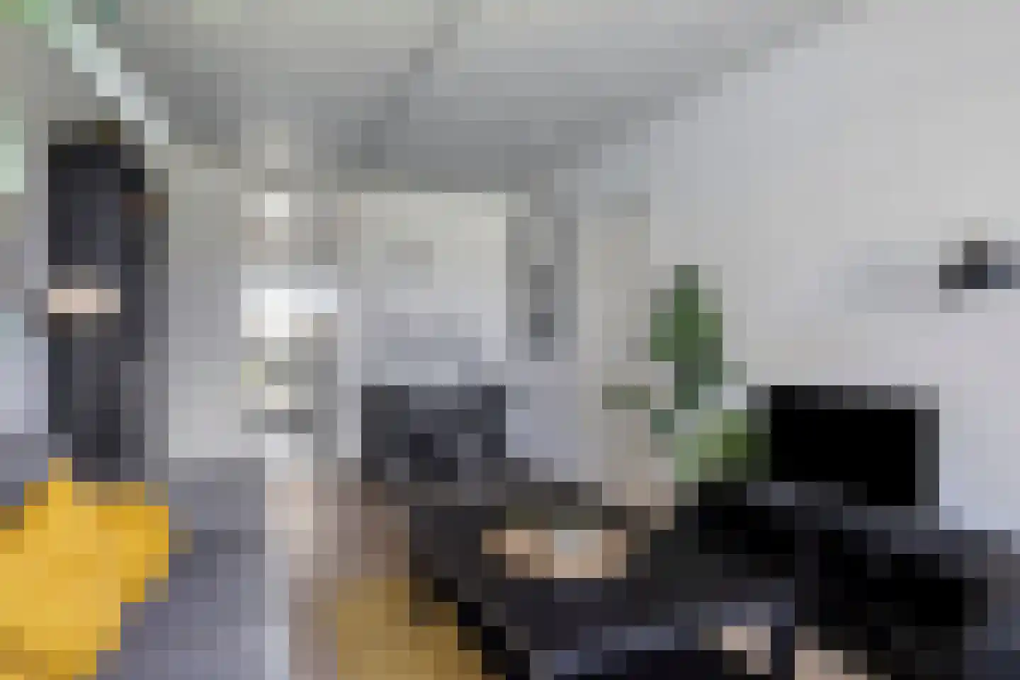 Fort den Haakweg 9 D Vrouwenpolder thumbnail 7
