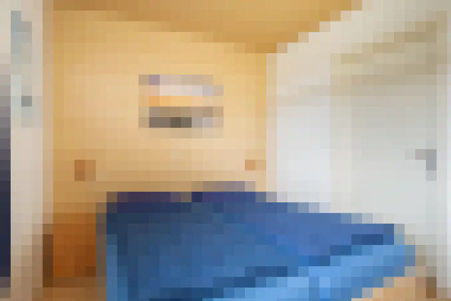 Fort den Haakweg 9 E Vrouwenpolder thumbnail 17