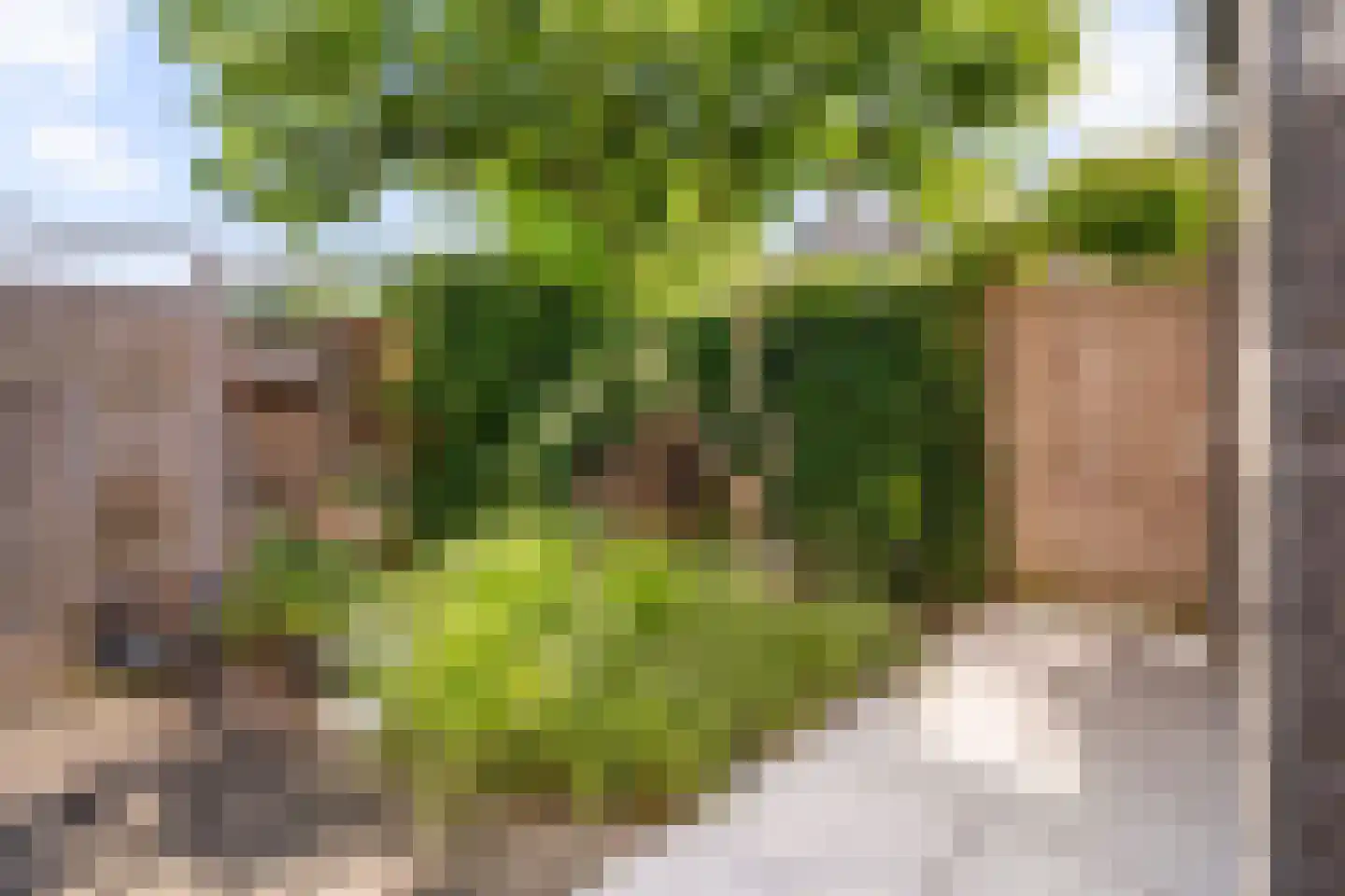 Fort Diemerdamstraat 19 Weesp thumbnail 22