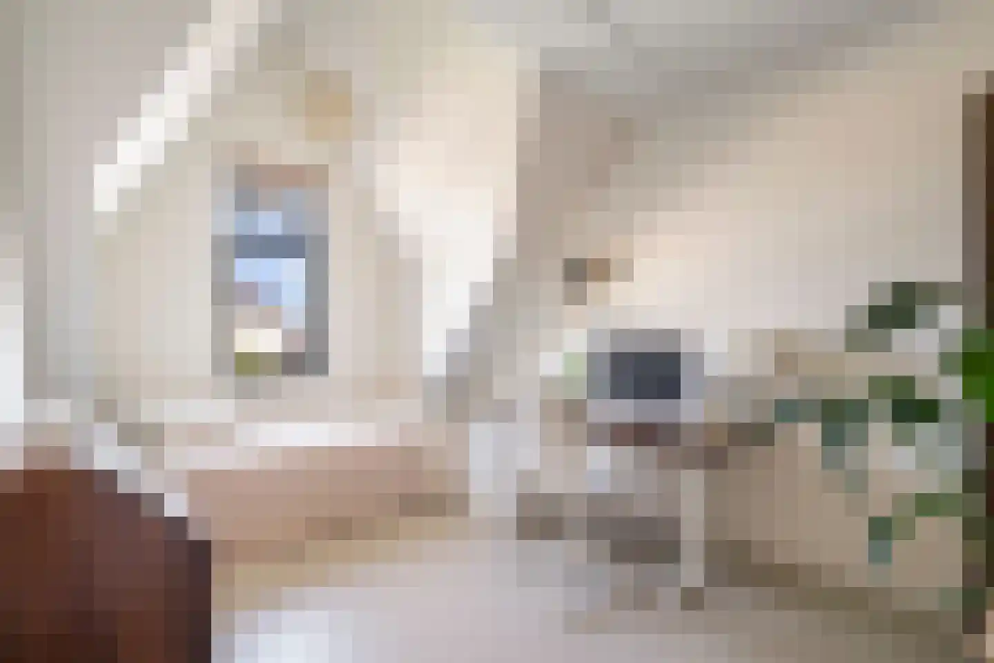 Fort Diemerdamstraat 19 Weesp thumbnail 39