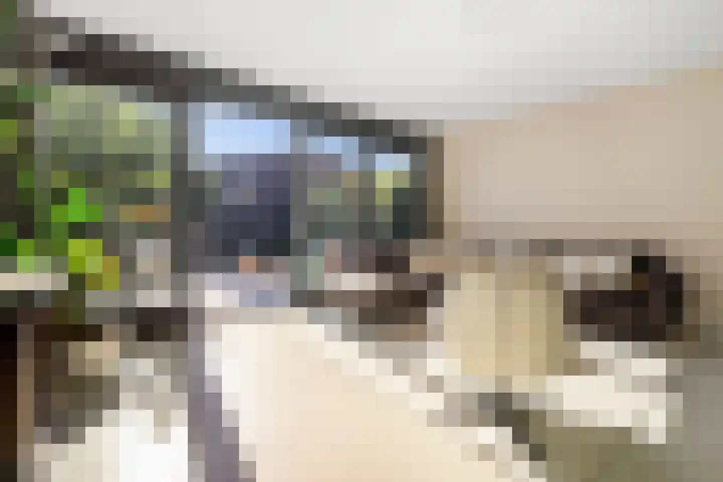 Fort Diemerdamstraat 19 Weesp thumbnail 4