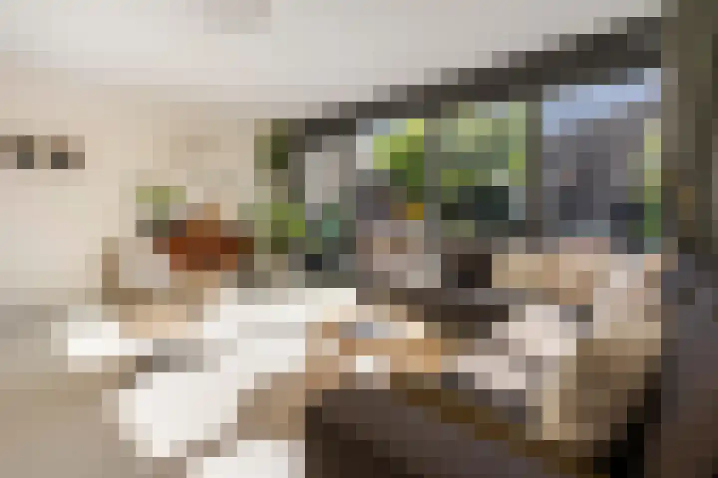 Fort Diemerdamstraat 19 Weesp thumbnail 5