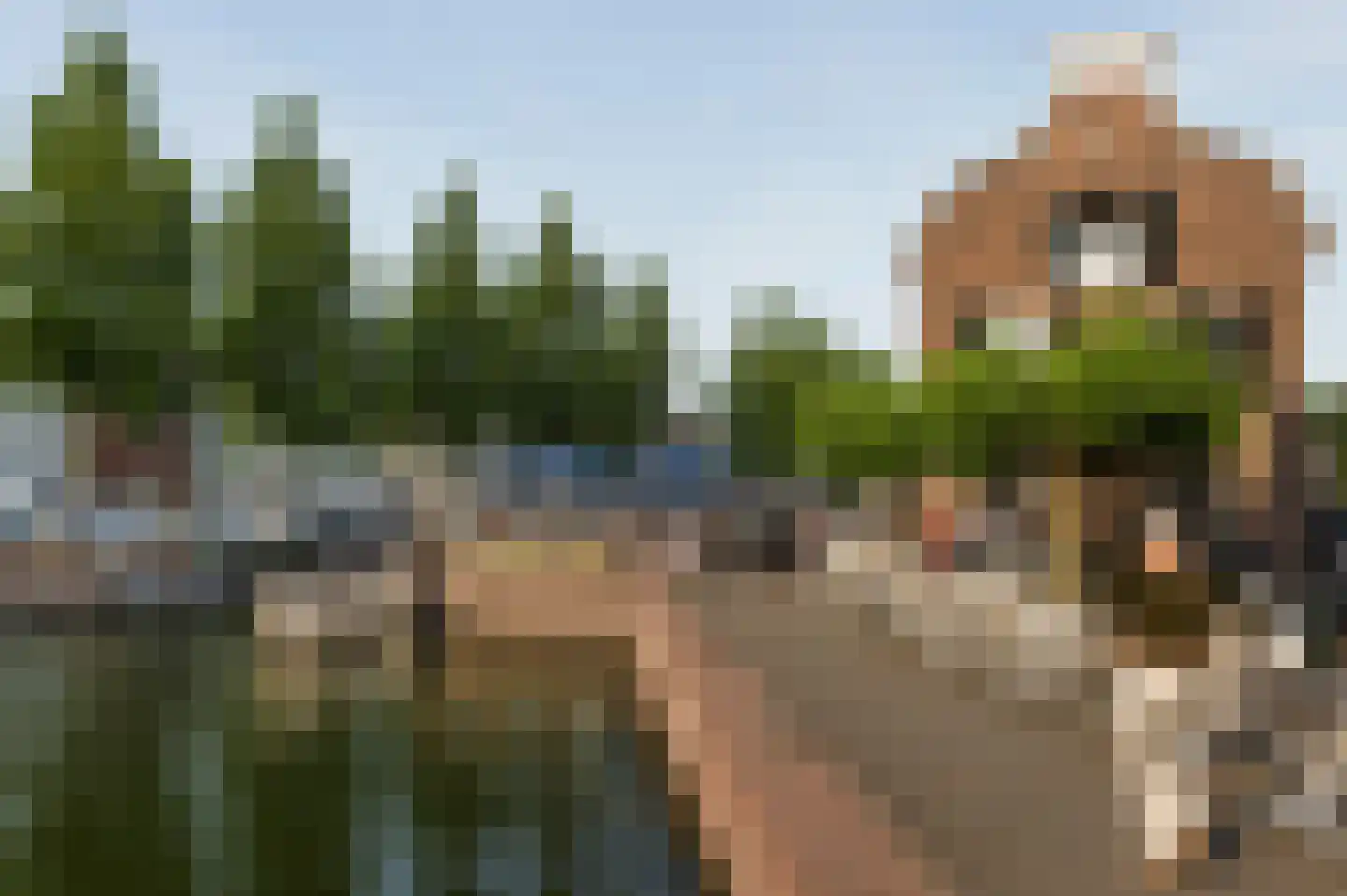 Fort Diemerdamstraat 19 Weesp thumbnail 52