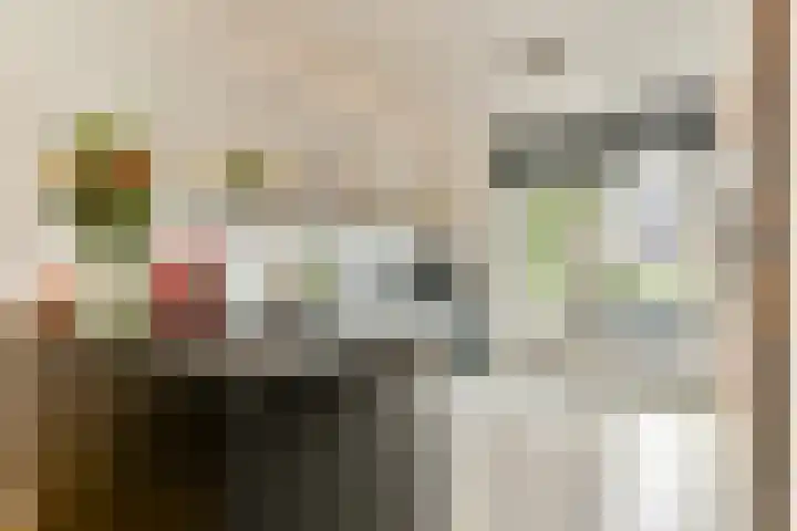 Fort Diemerdamstraat 41 Weesp thumbnail 8
