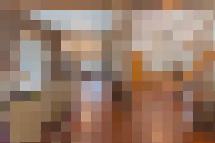 Fort Forelstraat 3 Stevensweert thumbnail 14