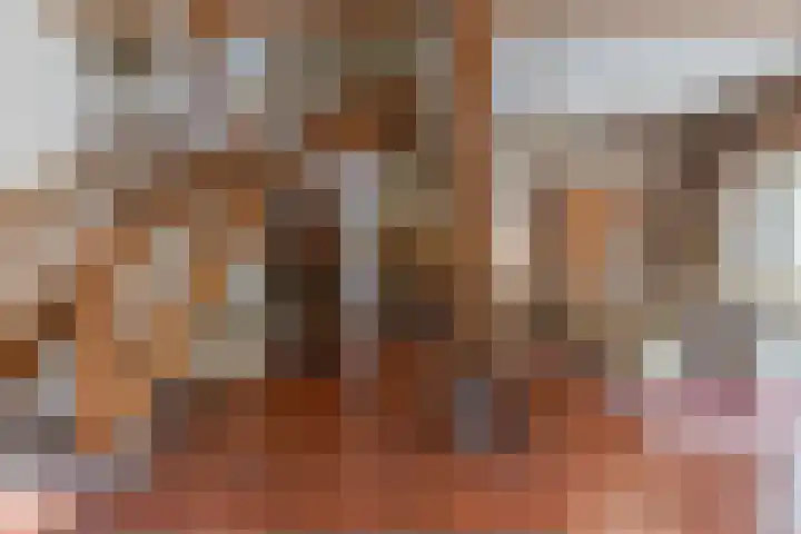Fort Forelstraat 3 Stevensweert thumbnail 19